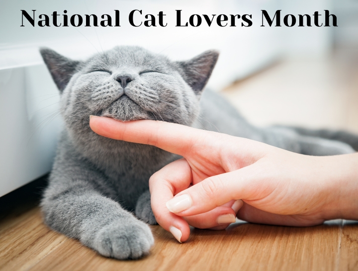 Celebrate National Cat Lovers' Month this December